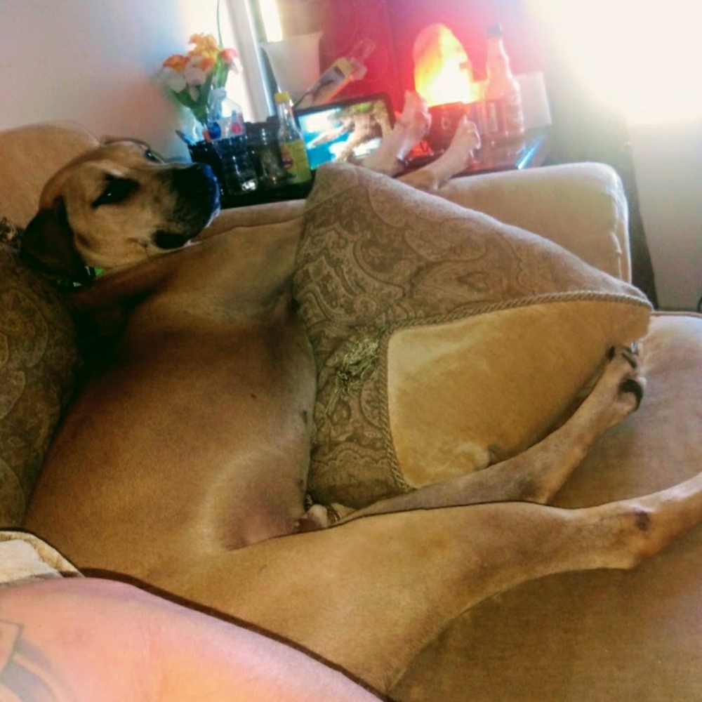 Meet your Posher, Robert